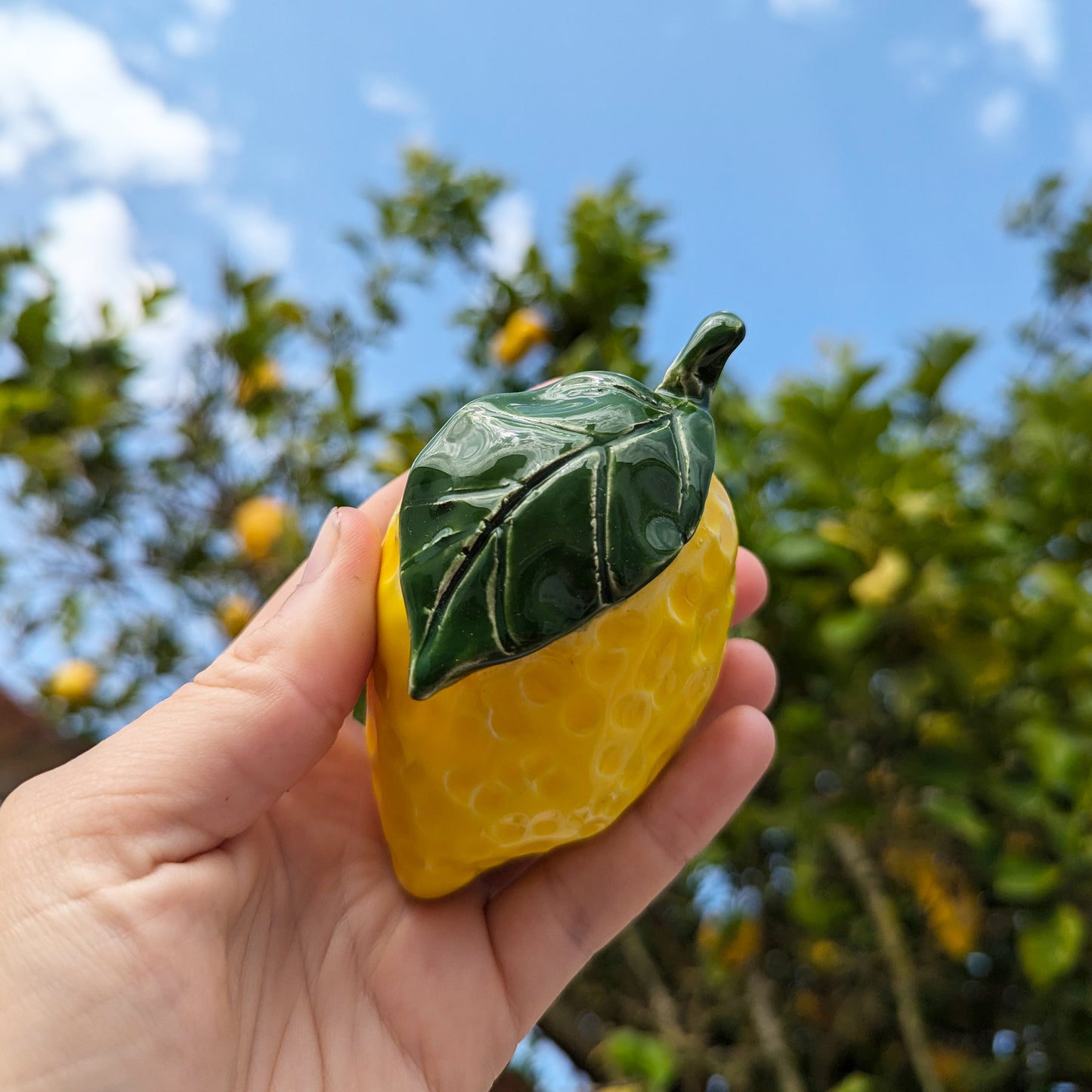 Wall hanging ~ lemon